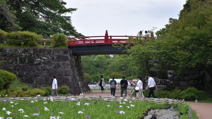あじさい・しょうぶ狩り 神奈川県小田原市 小田原城あじさい花菖蒲まつり(4)常盤木橋を潜った先にも 花しょうぶ園