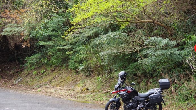 野間岳へ