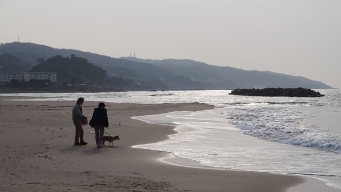 リモート犬すもも　海に遊び行った　その4　クイズの答えとまたまたクイズ