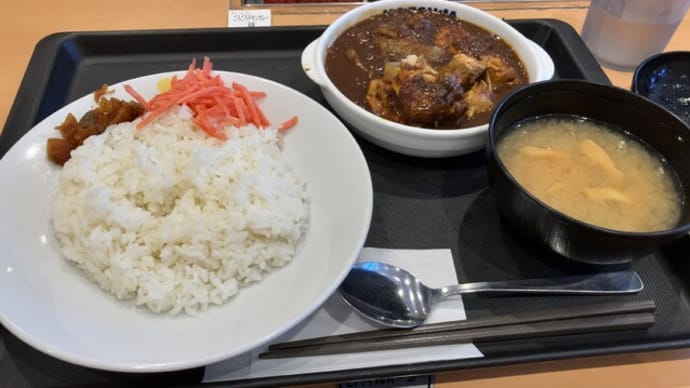松屋で「ごろごろ煮込みチキンカレー」を食べる