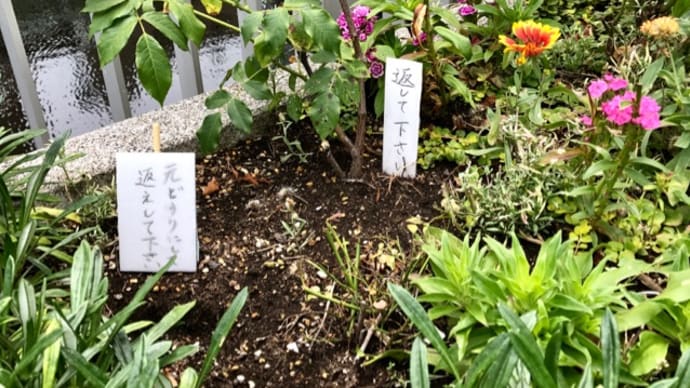 花壇の花や植木を持ち去る人!〈英訳付〉