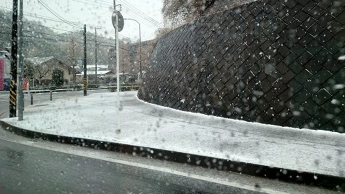 やっぱり降ってきました
