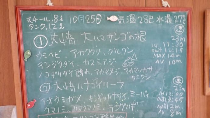 20231025ダイビングログ