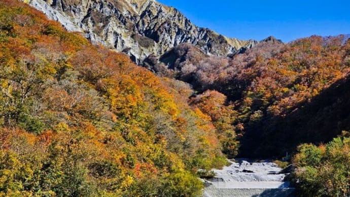 大山さんの紅葉 環状道路編 11月9日