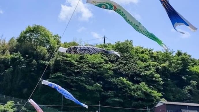 【鮎沢川・金太郎公園】川に掛かる鯉のぼりを空撮!