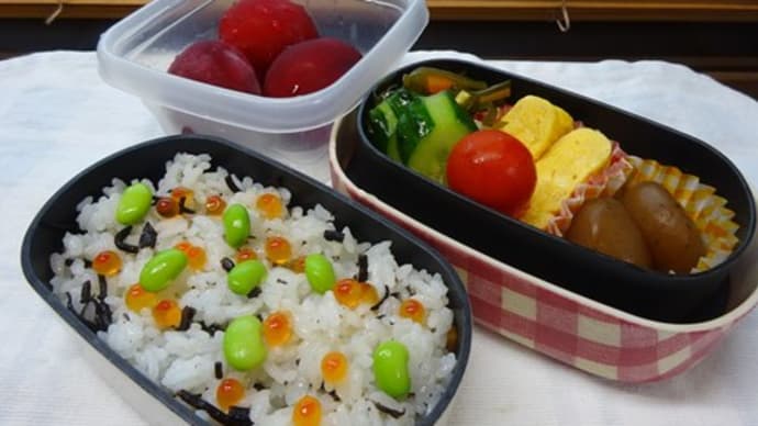 いくらとひじきの酢飯お弁当と、箱根とお花とはーちゃん