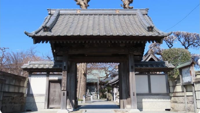 梅の香を求めて（宗川寺～常泉寺）