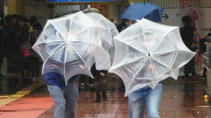 梅雨時期の急な雨にも安心 3wayバック