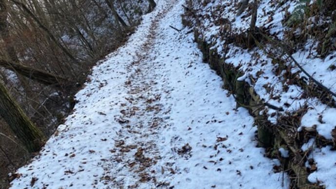 うっすら雪の積もった葛城山に登って来ました。