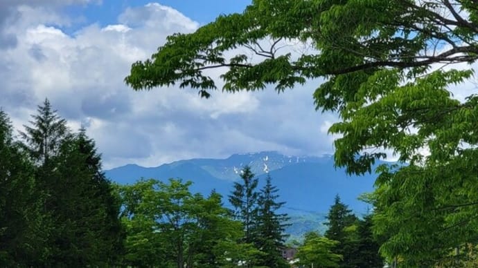 初夏の花模様・・・みちのく湖畔公園