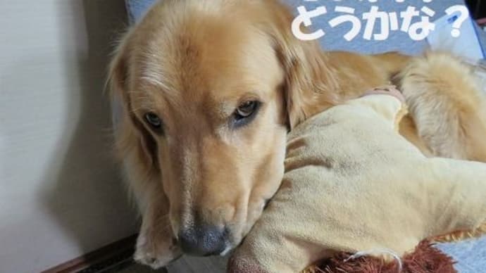 パパが突然倒れたらKAIはどうする?