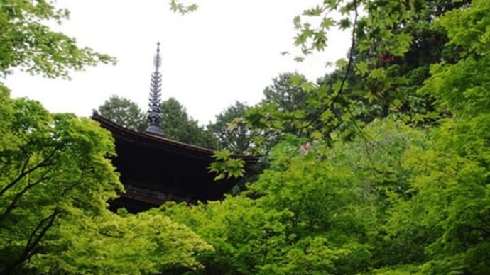 新緑の湖東三山②金剛輪寺