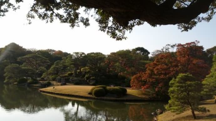 土曜日は六義園に行きました