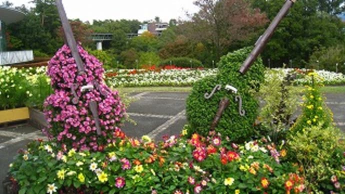 「とっとり花回廊」の菊トピアリー