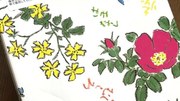 お気に入り