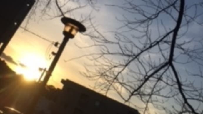 資格試験合格への道