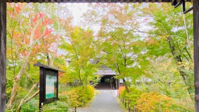 紅葉はゆっくりと