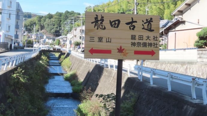 龍田大社の秋季大祭