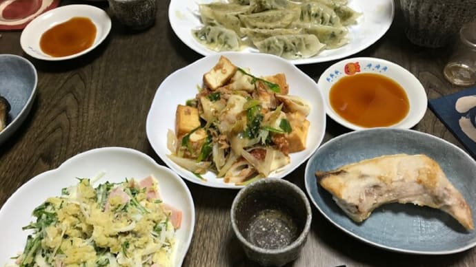 採れたキャベツで餃子♪
