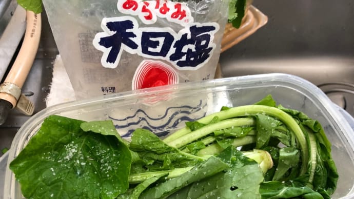 大和真菜と葉だいこんを漬ける
