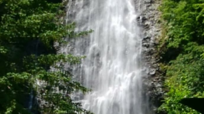 白神山地赤石渓流線くろくまの滝