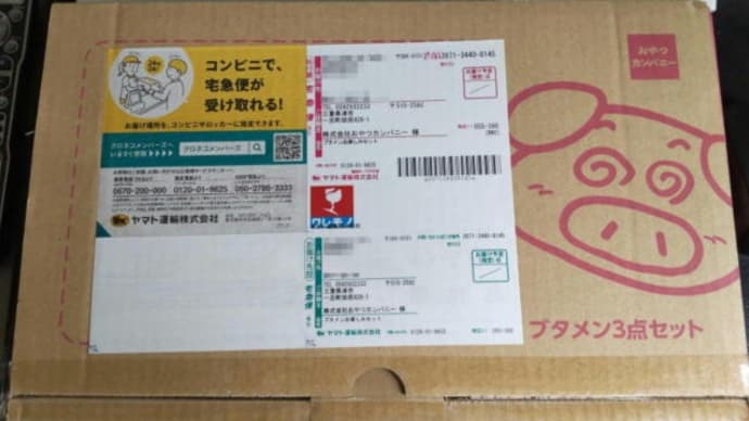 何か届きましたv(￣^￣;;