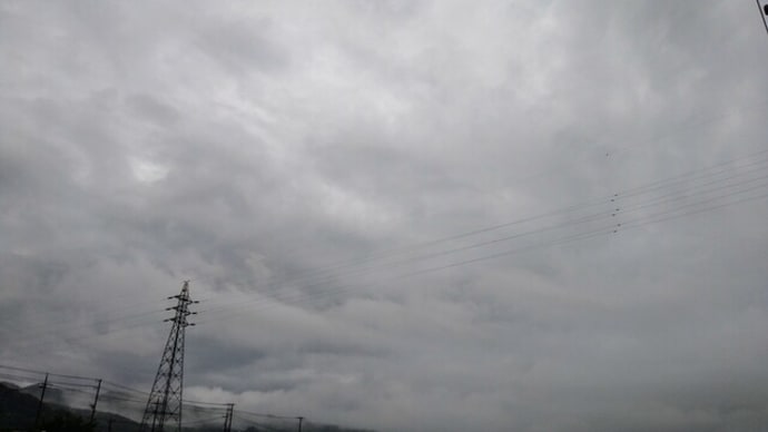 カニも散歩の空
