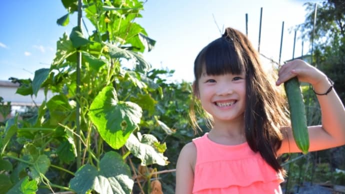 畑で子どもの自給力を⑨〜旬の野菜は、なぜ生命力が強い