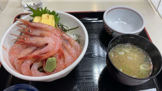 ５月１６日　留萌市　自主練習