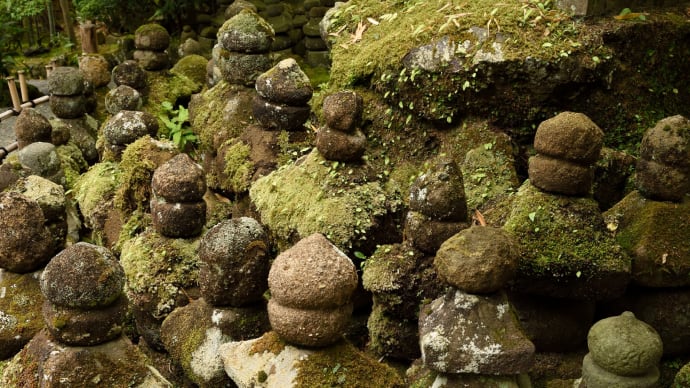 竹の寺　報国寺