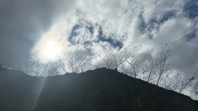 断捨離