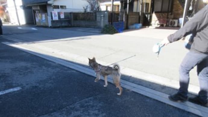 八王子七福神めぐり(2)