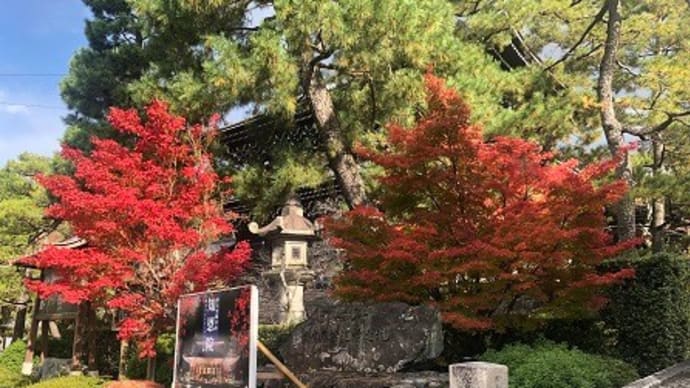 東山界隈の紅葉~寧々の道~円山公園~知恩院さん