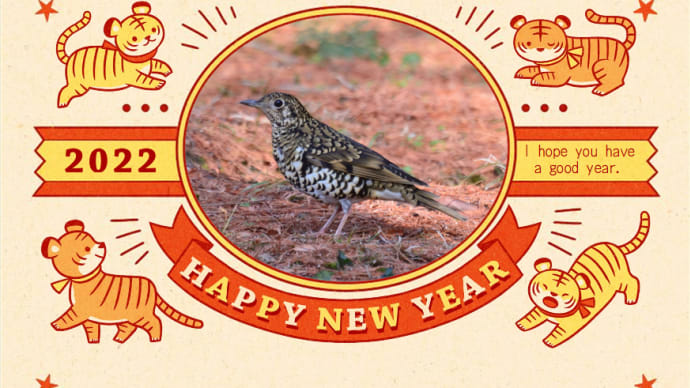 謹賀新年 今年もよろしくお願いいたします。