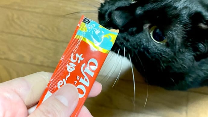 ちゅーるを食べるのが下手くそなトノ タピオカミルクティー