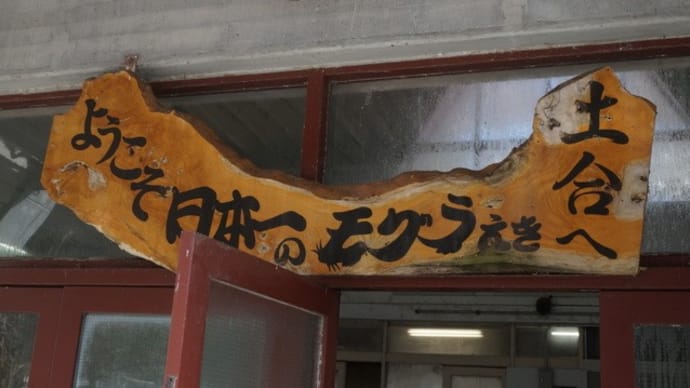 【関東の駅百選の1つ】日本一のモグラえき「土合駅」で改札⇔ホームを往復したよ!~痩せそうだったー