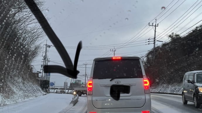 雪やこんこん