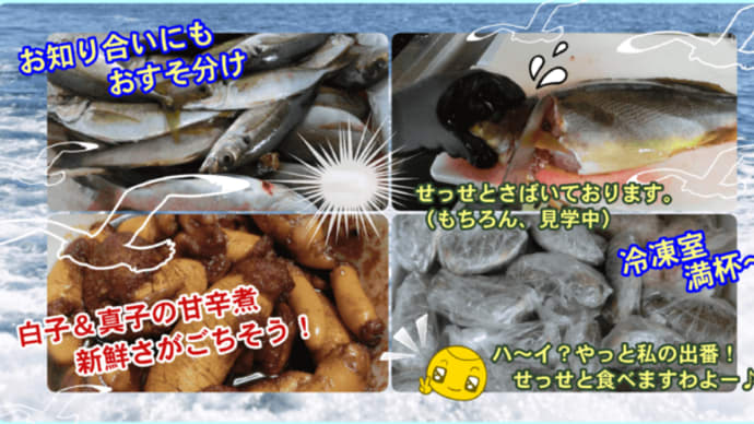 昨日の冷蔵庫、久々のお魚くんがやってきた!