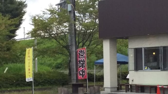 「つむら屋」さんのラーメンを食べて、大池公園の大賀蓮を観て。