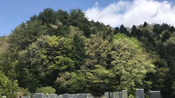 4月25日(月)北摂霊園へ