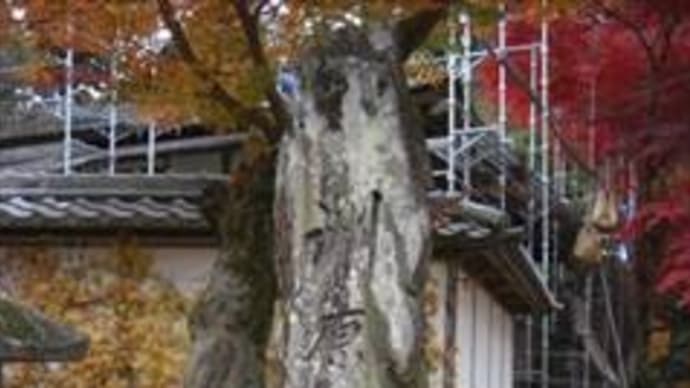 洲原(すはら)神社~Ⅰ~ in 岐阜県美濃市須原