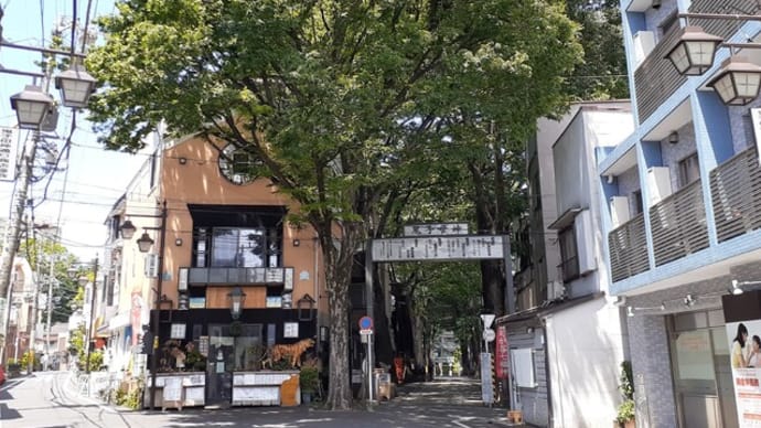 新緑の鬼子母神参道/2024年