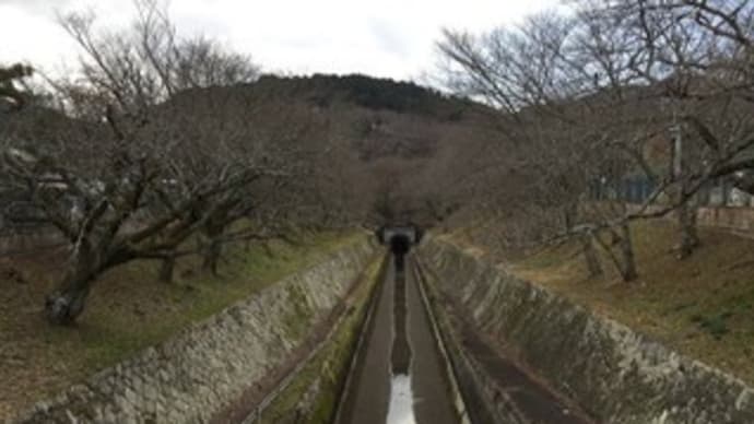 疏水はまず山科へ2