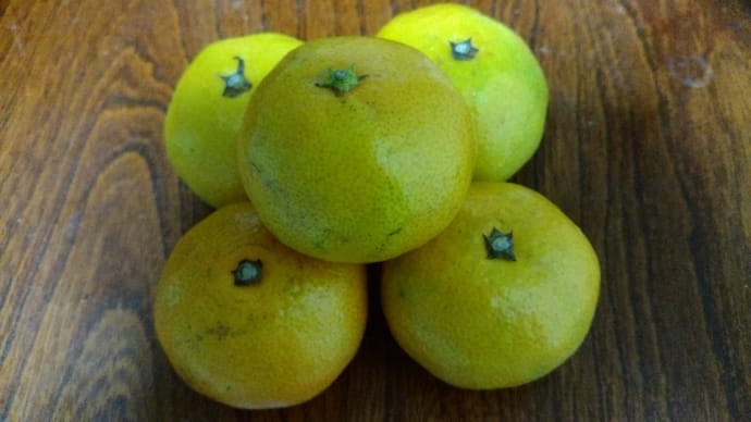 ミカン🍊の皮を剥いて食べようと…。