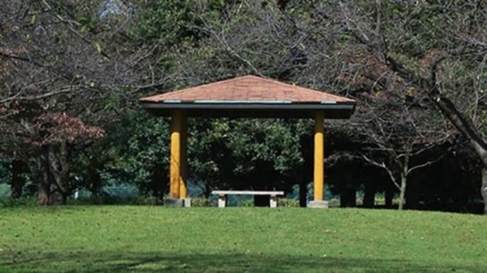 公園の四阿 立つ位置で