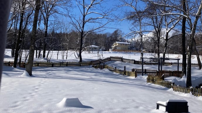 3月のドカ雪❄️