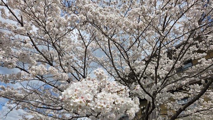 壷坂寺~高取城趾~長谷寺1の①