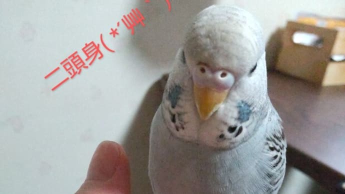 ひなちゃん(^.^)