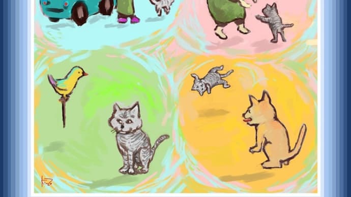Cat Zaza 5672／ザザという名の猫 