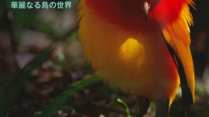 秋田市立千秋美術館 展覧会のご案内